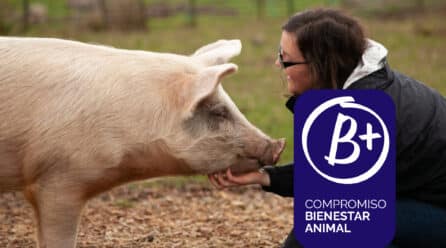 B+ Compromiso Bienestar animal, el nuevo sello común del sector cárnico