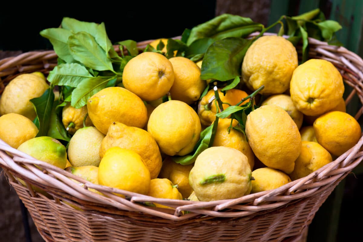 El limón turco: Ailimpo aplaude el aumento de controles de pesticidas en la UE