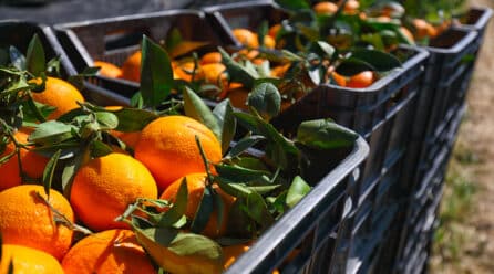 El registro de contratos alimentarios será obligatorio a partir de junio para los compradores