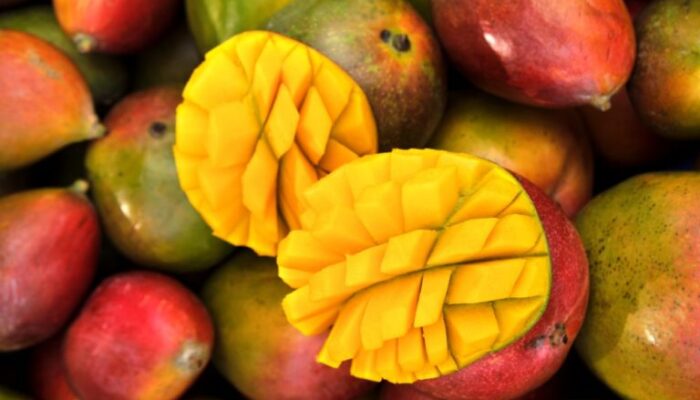 El mercado mundial del mango crecerá un 5%