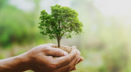 El marketing verde se impone ante el aumento de preocupación entre los españoles por el cambio climático