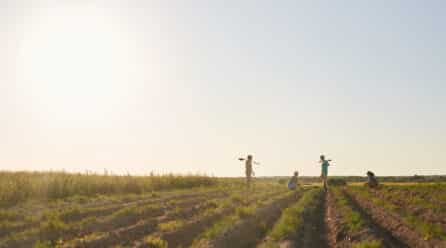 Planas critica la campaña de Justicia Alimentaria que acusa al agro de explotación
