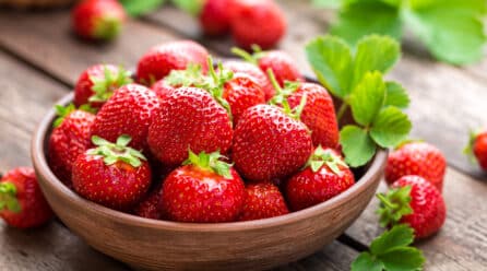 La producción mundial de fresa supera ya los 9 millones de toneladas
