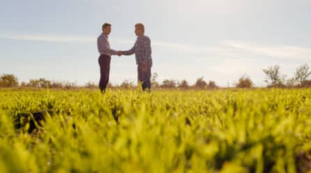 La reforma laboral y otras leyes que afectan al empleo agrario explicadas en una audio-guía