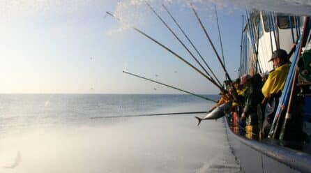 Calvo apuesta por la pesca sostenible y pide expulsar a las empresas que no cumplan