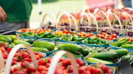 La exportación de frutas y hortalizas bate récords en Andalucía subiendo un 10,8%