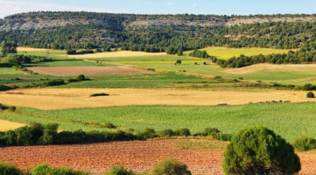 Los productores recibirán 660 millones de euros en ayudas directas
