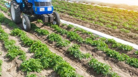 Una amplia mayoría de agricultores podrían quedar fuera de las ayudas por fertilizantes