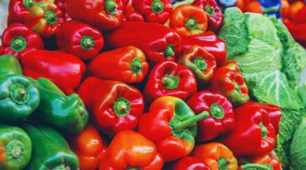 Cooperativas Agro-alimentarias pide menos restricciones en el Real Decreto de Envases y Residuos de Envases