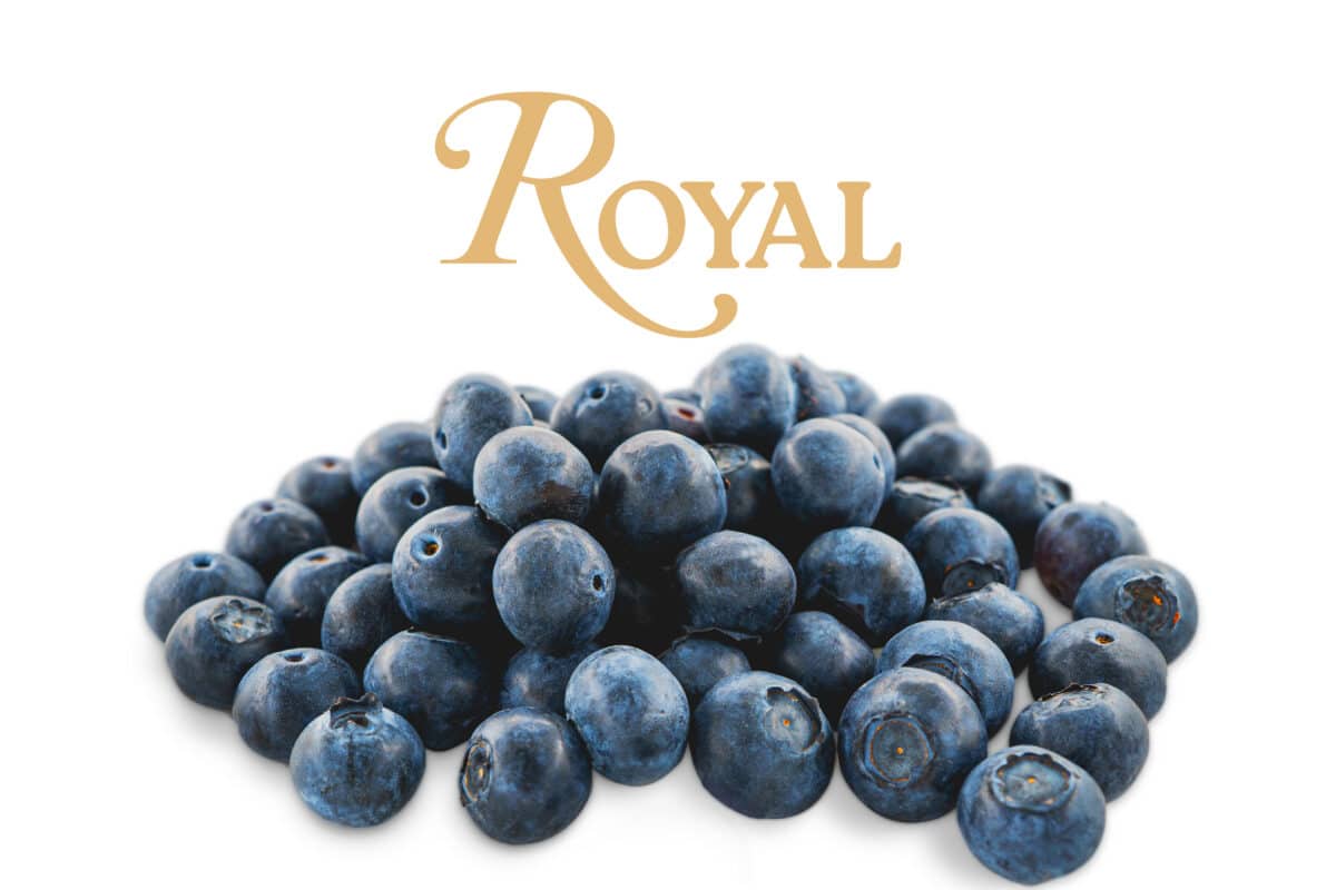 El arándano Royal Blu Aroma® de la empresa de Sevilla Royal obtiene el galardón ‘Sabor del Año’ en España y Francia
