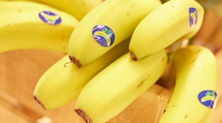 El Plátano de Canarias ha bajado un 35 por ciento su precio desde mediados de 2022