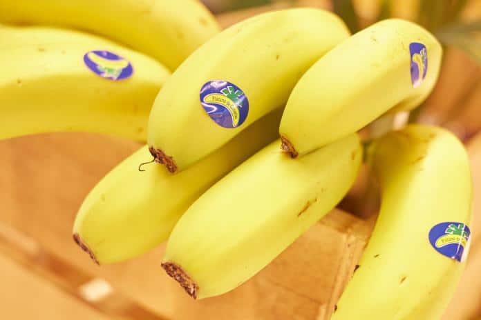 El Plátano de Canarias ha bajado un 35 por ciento su precio desde mediados de 2022
