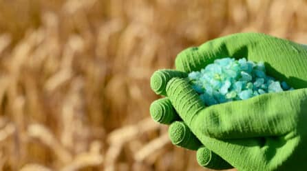 Detalles del nuevo Plan de Abonado obligatorio para las fincas agrícolas