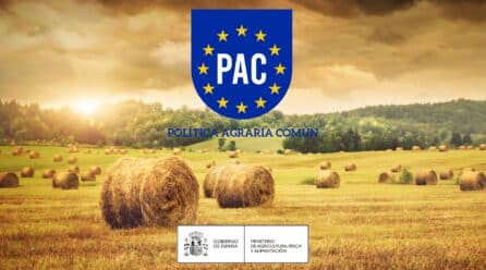 Ya en vigor la nueva PAC 2023-2027, afectará en España a más de 650.000 agricultores y ganaderos