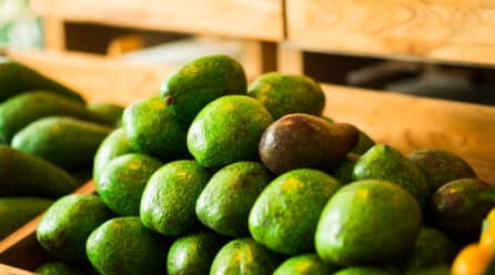 La producción de aguacate en España se reducirá en un 25% respecto al pasado año