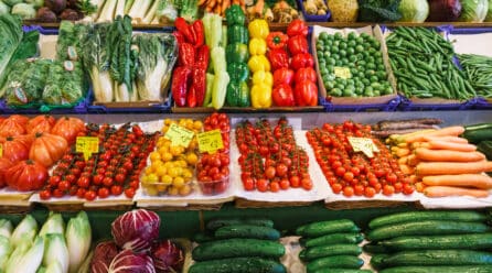 Marruecos es el principal proveedor del mercado hortofrutícola español