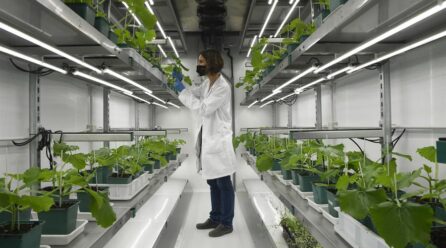 Bayer y Kimitec se asocian para desarrollar productos de biotecnología para el campo