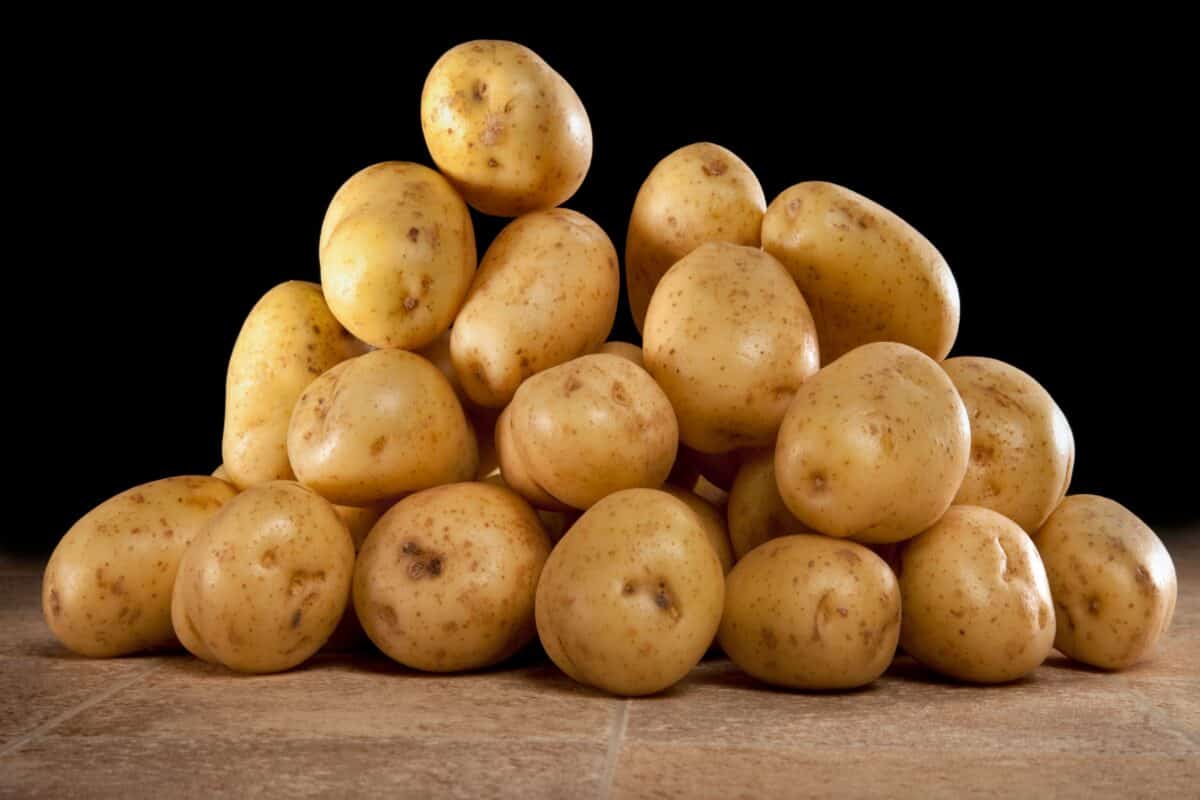 Fepex pide más transparencia ante el supuesto «fraude» en la venta de patatas