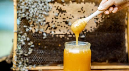 La miel de Ibiza obtiene la primera denominación de origen de la isla pitiusa