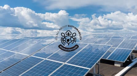 The Natural Fruit Company invierte en energía solar para consumo propio en colaboración con Ekhi