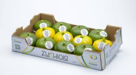 Esta es la nueva hortaliza que se cultiva en invernaderos de Almería