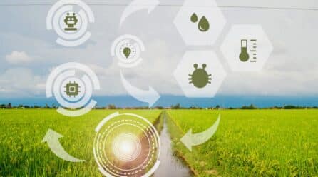 Fame Innowa regresa a IFEPA del 19 al 22 de abril con las últimas innovaciones agrícolas