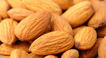 Los exportadores de almendra se muestran «satisfechos» tras el acuerdo de España con China