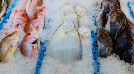 Las carnes de ovino y pollo y el pescado bajan de precio
