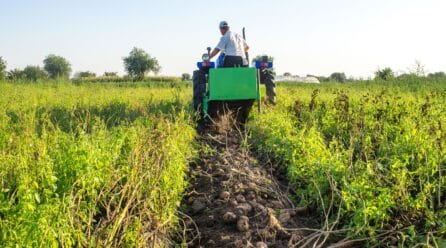 Las explotaciones agrarias disminuyen un 37% en la UE en solo 15 años