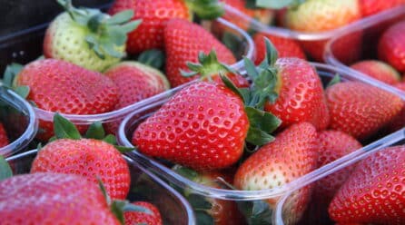 Los frutos rojos no tendrán que venderse a granel obligatoriamente