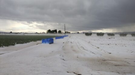 Se prevé que las indemnizaciones agrarias en 2023 batan un nuevo record, con 900 millones