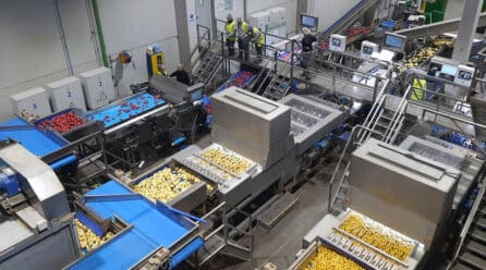 Hijolusa adquiere a Agrícola Villena, ubicada en Alicante, y fortalece su posición como grupo empresarial
