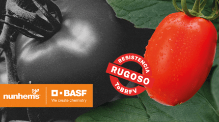 La Comisión Europea ha implementado más medidas para prevenir la introducción del virus rugoso