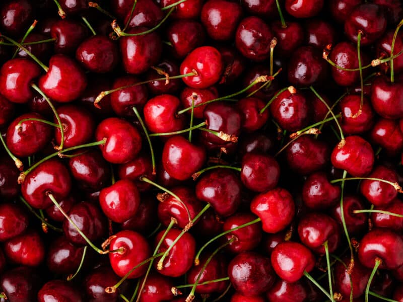 El Jerte pedirá que se declare zona catastrófica debido a los daños sufridos en la cereza