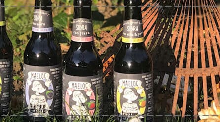 Sidra Maeloc, la expansión de la sidra