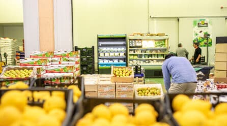 Mercados Centrales de Abastecimiento en España, un modelo exitoso