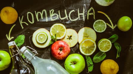 Las 5 mejores marcas de kombucha en España