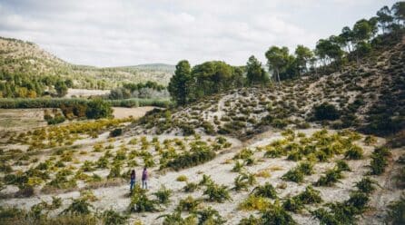 Bodeboca, un altavoz para dar a conocer proyectos vitivinícolas pequeños pero excelentes