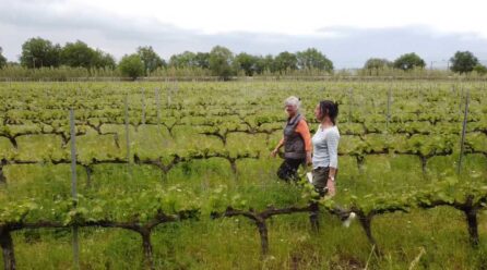 Otra agricultura es posible, el reportaje «Suelos Vivos» reconocido con el Premio Rey de España