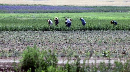 COAG inicia una campaña de concienciación para evitar los golpes de calor en el campo