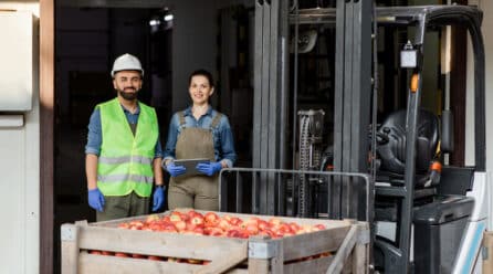 La situación de la distribución mayorista de alimentación en España