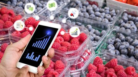 Marketing Industrial para el sector agroalimentario
