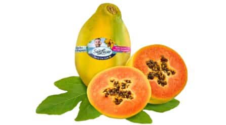 Papaya de Canarias, la nueva fruta exótica de SanLucar