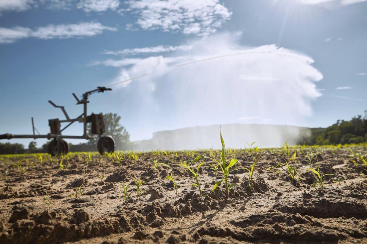 La Unión Europea defiende implementar políticas para que el sector agrícola resista al cambio climático