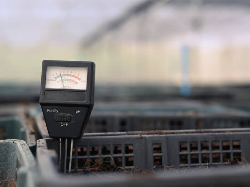 El poder de los datos en tiempo real en la agricultura de precisión