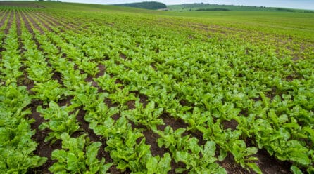 El Gobierno reparte 2,9 millones a 2.715 agricultores para compensar el alza de los fertilizantes
