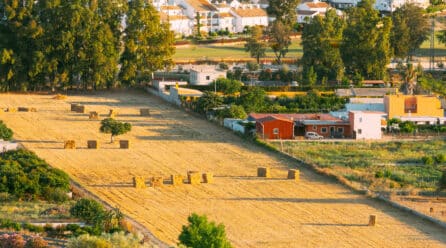 COAG Alerta sobre el Futuro de la Agricultura en Andalucía