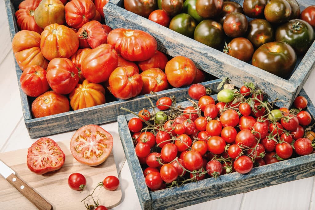 tomate para consumo en fresco