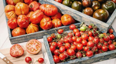 Disminuye la producción de tomate en España un 20% en cinco años