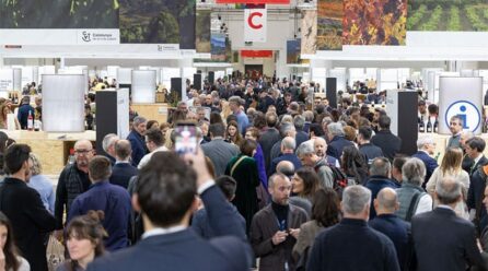 La Evolución del Vino Español: Calidad, Conocimiento y Mercados
